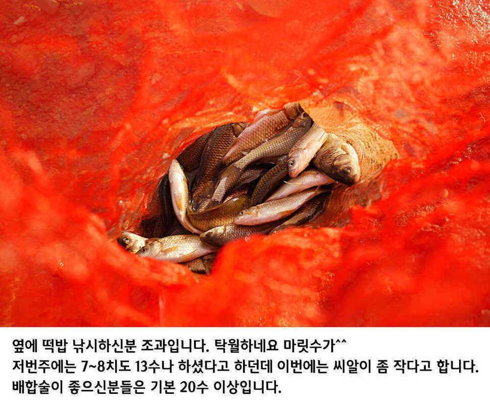 청도권 물낚시 시즌 오픈 (조황조행기 - 특파원조황)