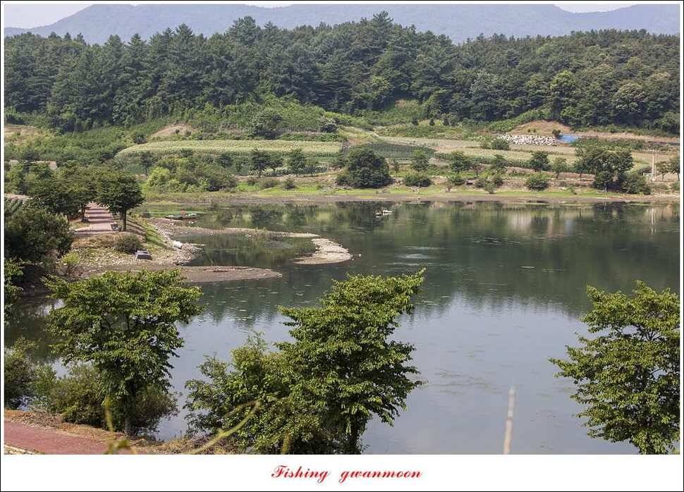 충주호칠성지 주말 조황 (조황조행기 - 특파원조황)