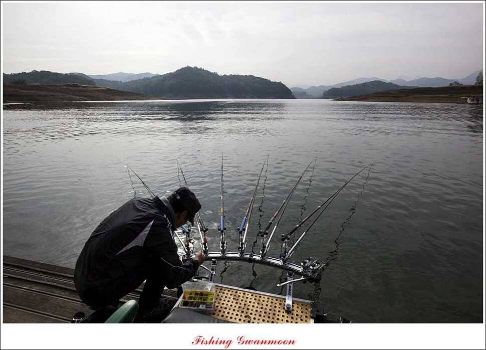 돌감한버들늘푸른 월척 조황 (조황조행기 - 특파원조황)