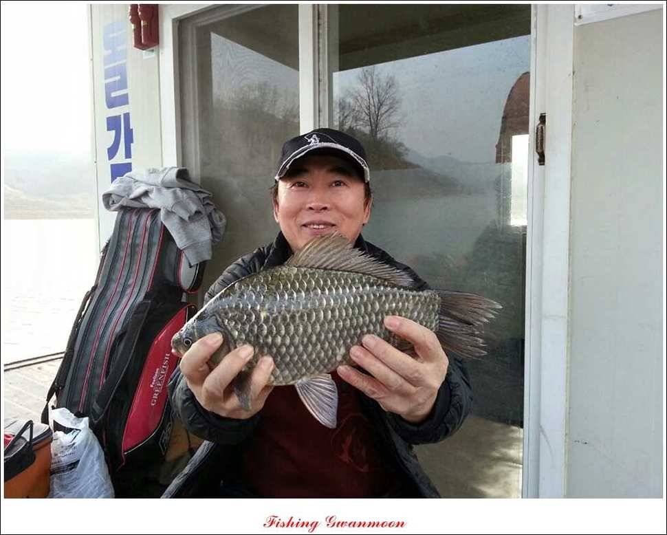 돌감실리곡짱가네병호 조황 (조황조행기 - 특파원조황)