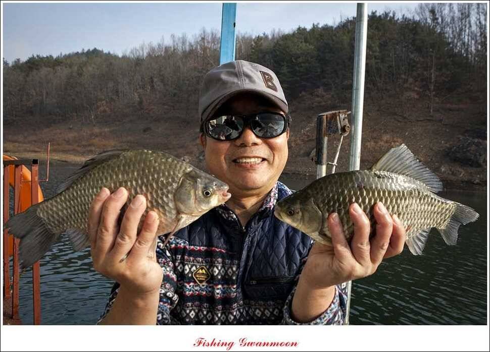 신매제일짱가네 조황 (조황조행기 - 특파원조황)