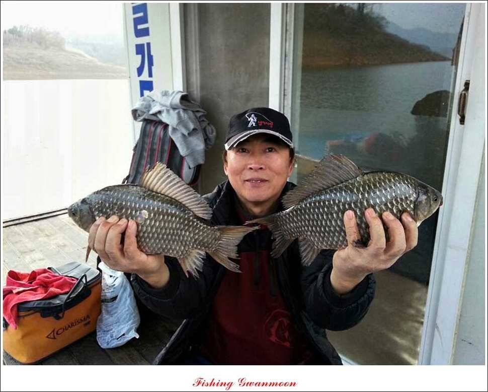 돌감실리곡짱가네병호 조황 (조황조행기 - 특파원조황)