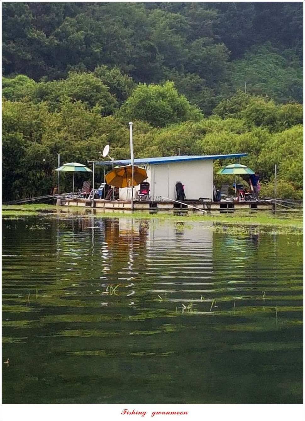 실리곡화곡지기타 조황 소식 (조황조행기 - 특파원조황)