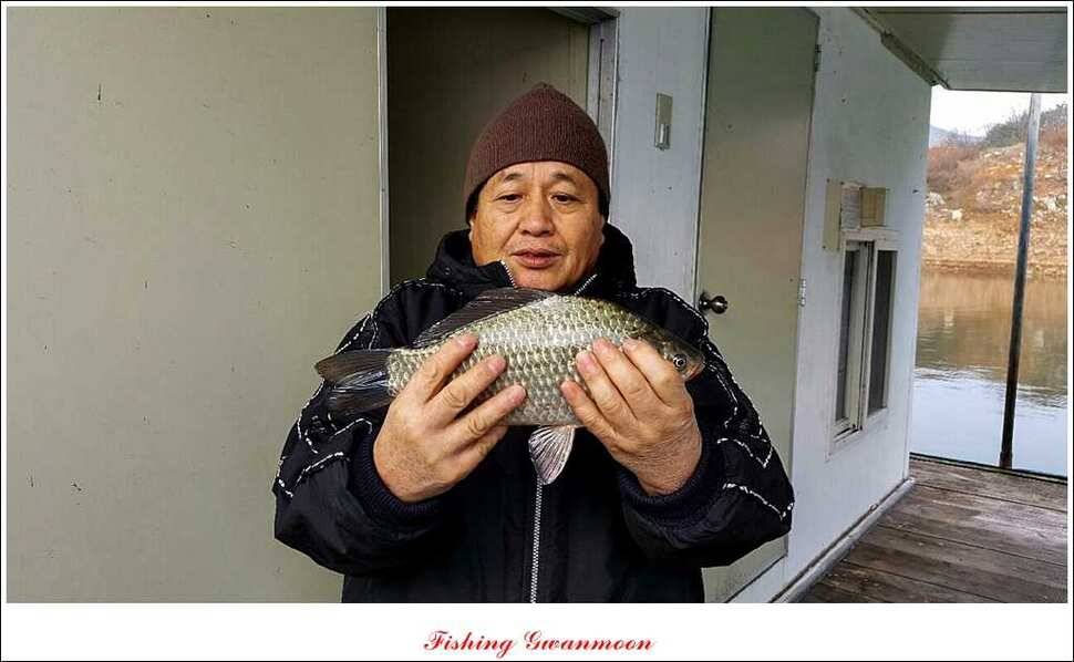돌감실리곡짱가네병호 조황 (조황조행기 - 특파원조황)