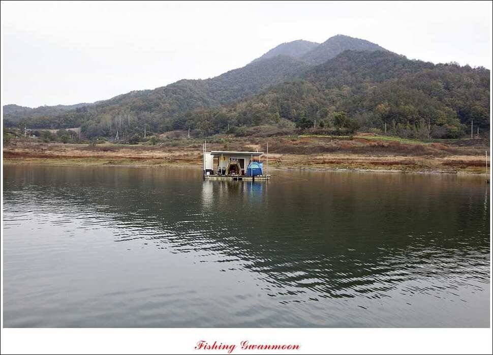 돌감한버들늘푸른 월척 조황 (조황조행기 - 특파원조황)
