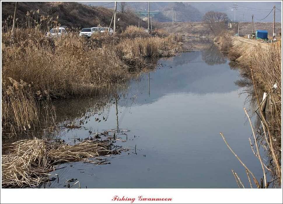 충주권 얼음 낚시 조황 (조황조행기 - 특파원조황)