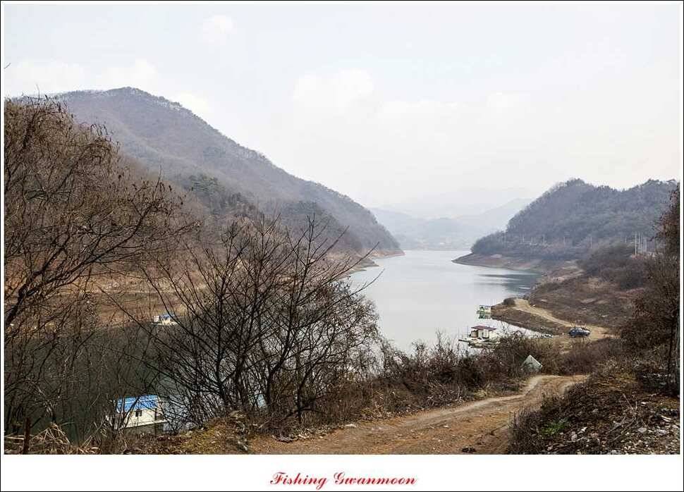 돌감실리곡짱가네병호 조황 (조황조행기 - 특파원조황)