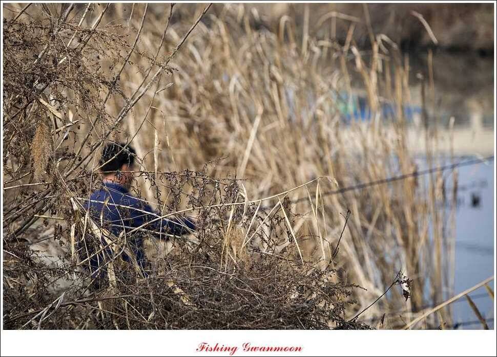 충주권 얼음 낚시 조황 (조황조행기 - 특파원조황)