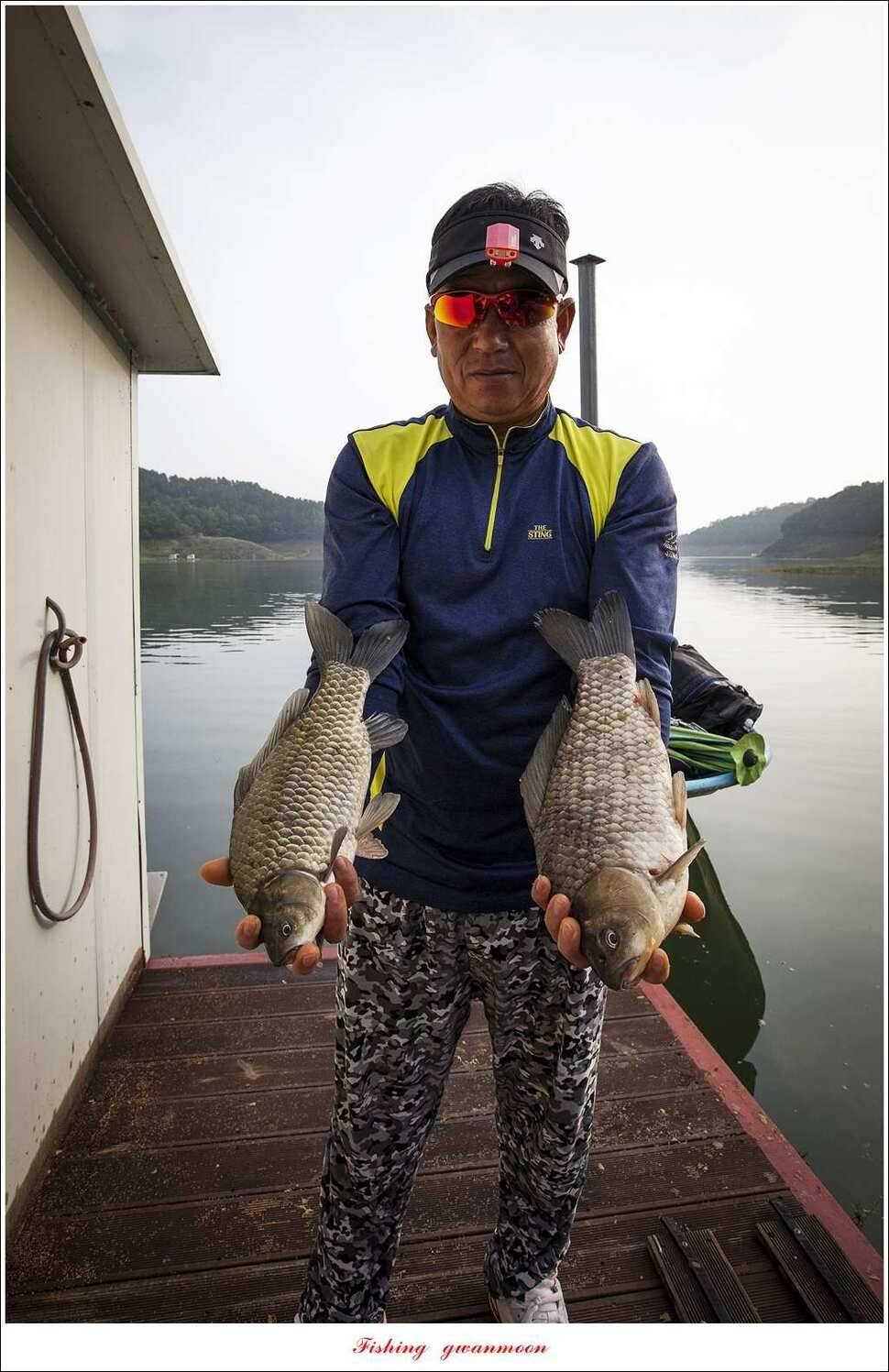 병호 사짜실리곡 사짜늘푸른 사짜 및 키로급 장어돌감 38 cm 및 마릿수 조황 (조황조행기 - 특파원조황)