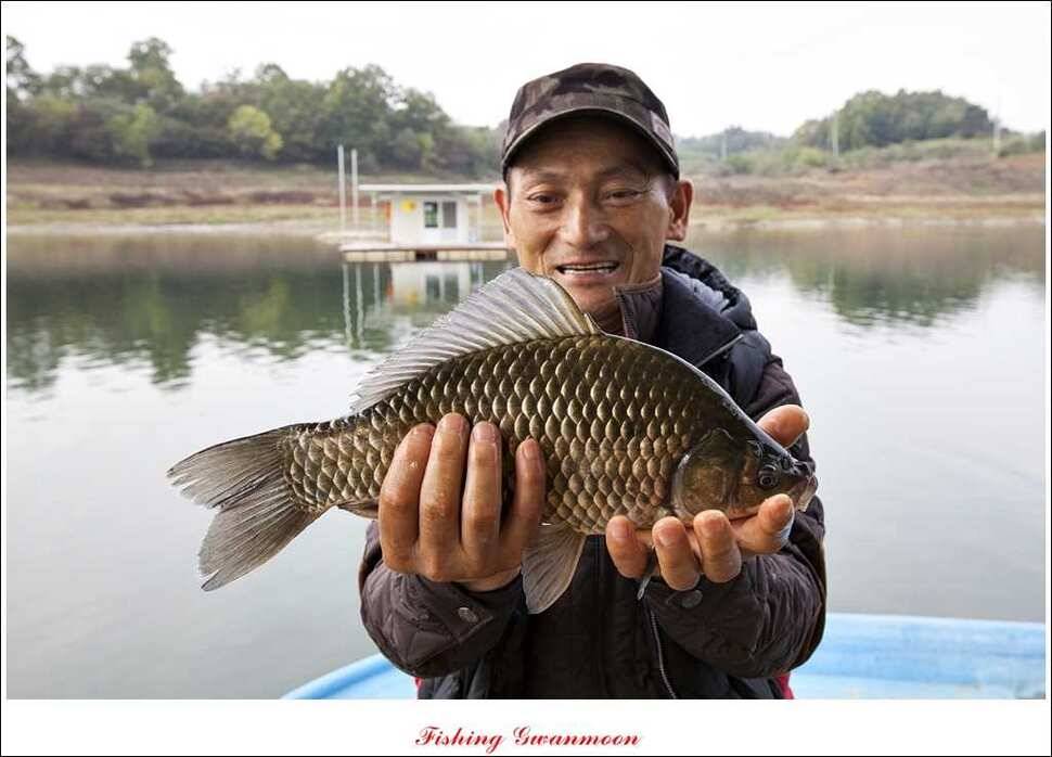 돌감한버들늘푸른 월척 조황 (조황조행기 - 특파원조황)