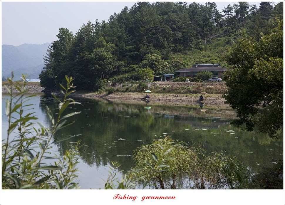 충주호칠성지 주말 조황 (조황조행기 - 특파원조황)