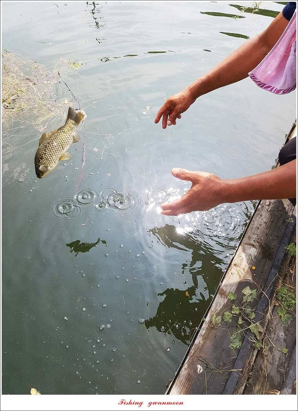 실리곡화곡지기타 조황 소식 (조황조행기 - 특파원조황)