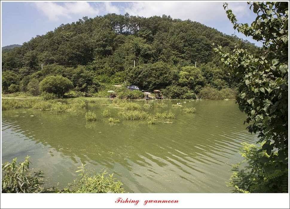 실리곡화곡지기타 조황 소식 (조황조행기 - 특파원조황)