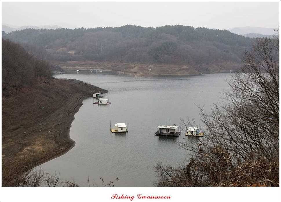 돌감실리곡짱가네병호 조황 (조황조행기 - 특파원조황)