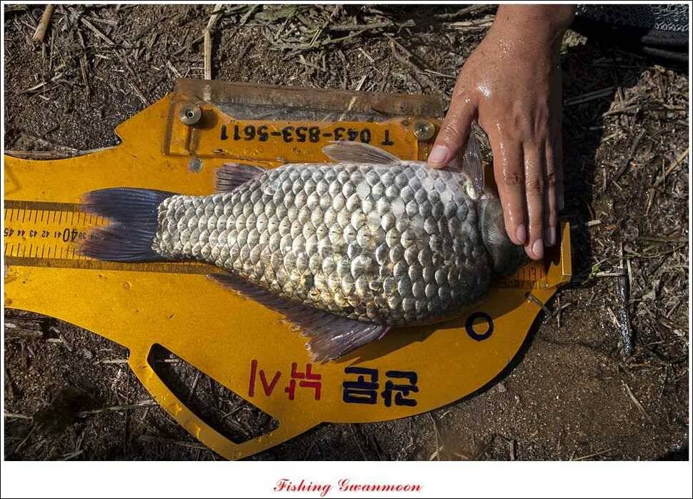 명서 사짜추평지 사짜 (조황조행기 - 특파원조황)
