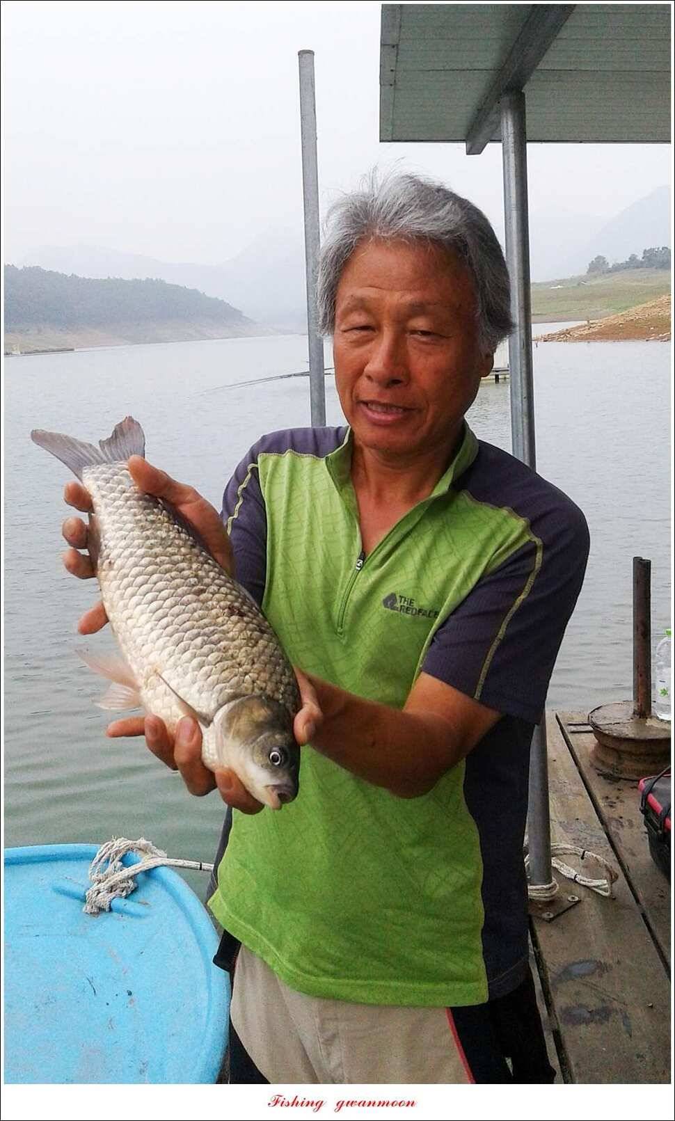 신매실리곡한버들 월척 조황 (조황조행기 - 특파원조황)