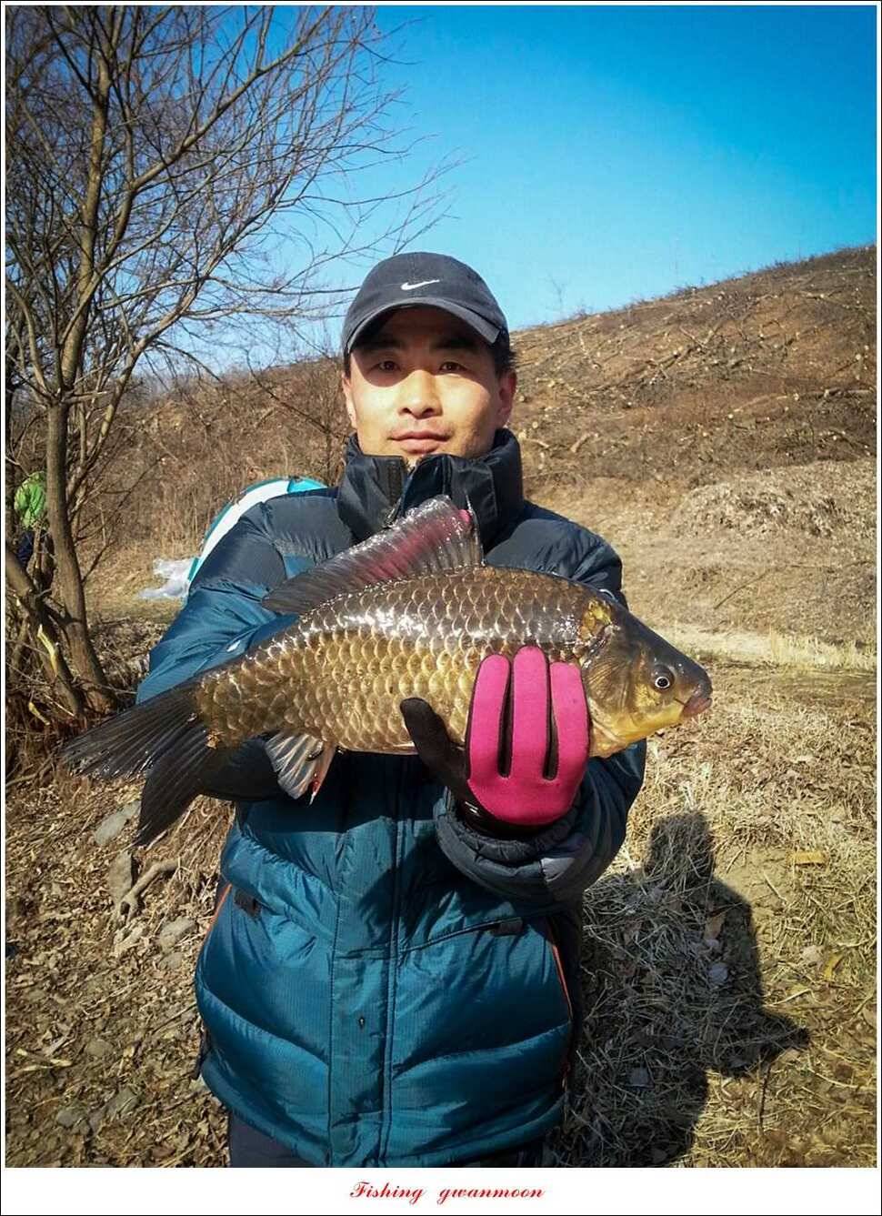 충주괴산권 조황 (조황조행기 - 특파원조황)