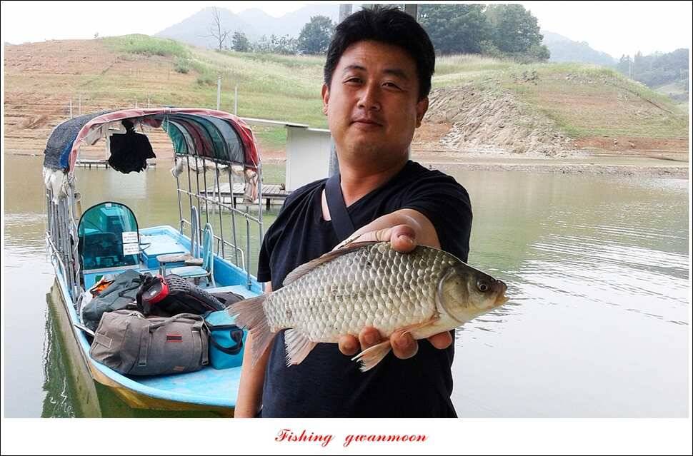 신매실리곡한버들 월척 조황 (조황조행기 - 특파원조황)
