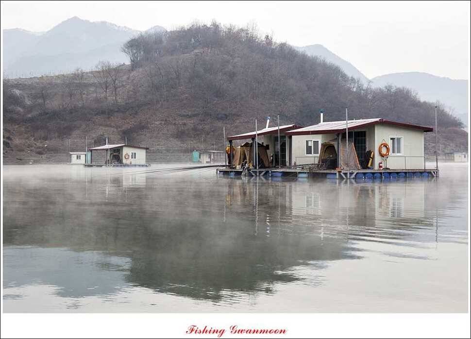 짱가네 415 cm제일 37 cm신매병호돌감한버들 월척 조황 (조황조행기 - 특파원조황)