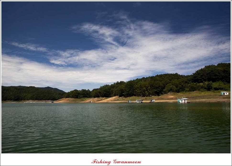 문골돌감실리곡화곡지 조황 (조황조행기 - 특파원조황)