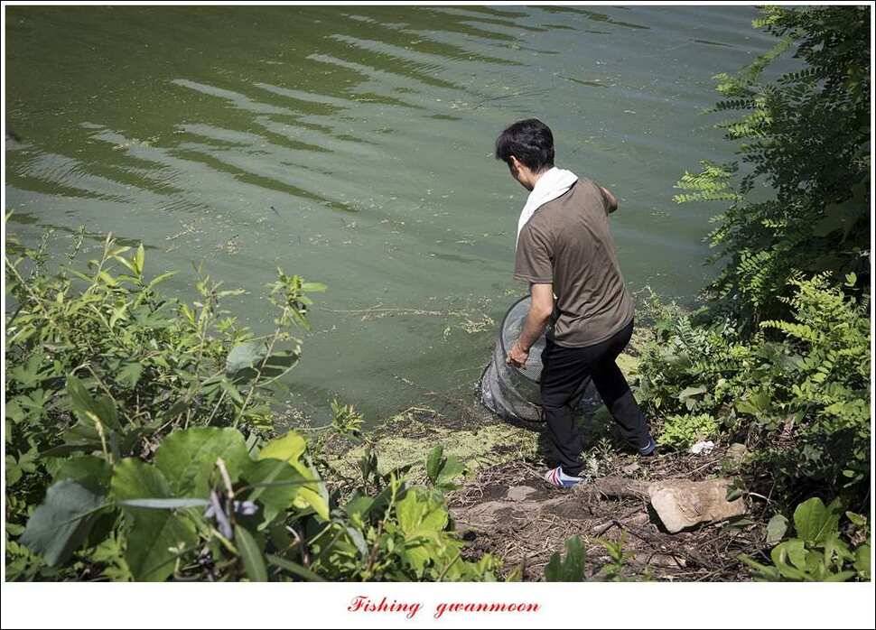 실리곡화곡지기타 조황 소식 (조황조행기 - 특파원조황)
