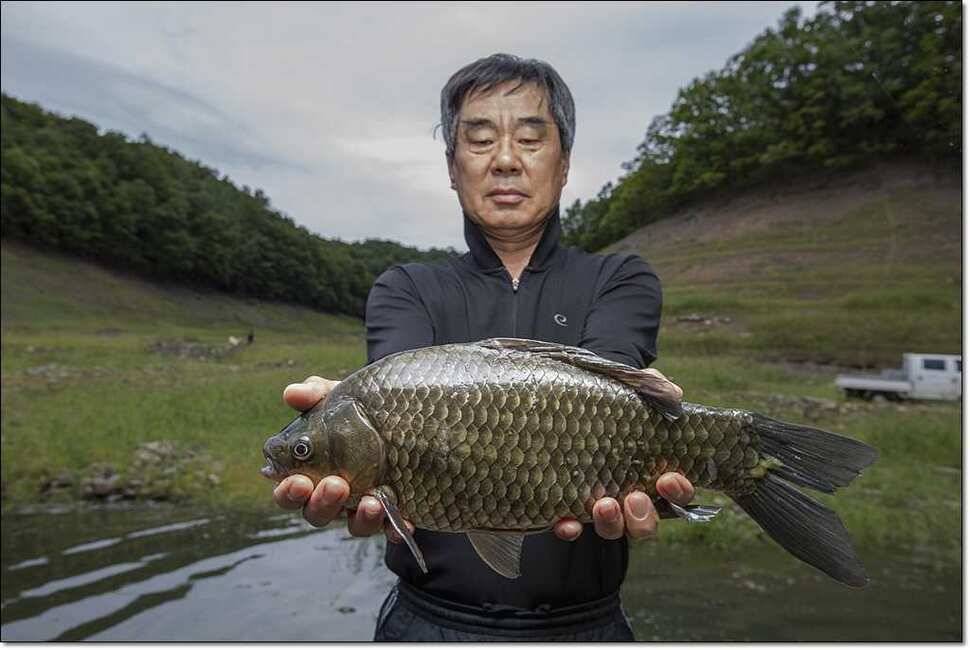 신매 435cm37cm병호 월척 대박 (조황조행기 - 특파원조황)