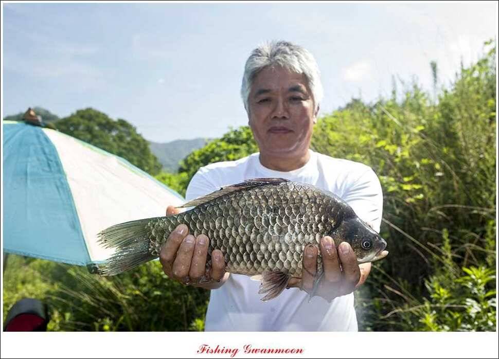 명서 사짜추평지 사짜 (조황조행기 - 특파원조황)