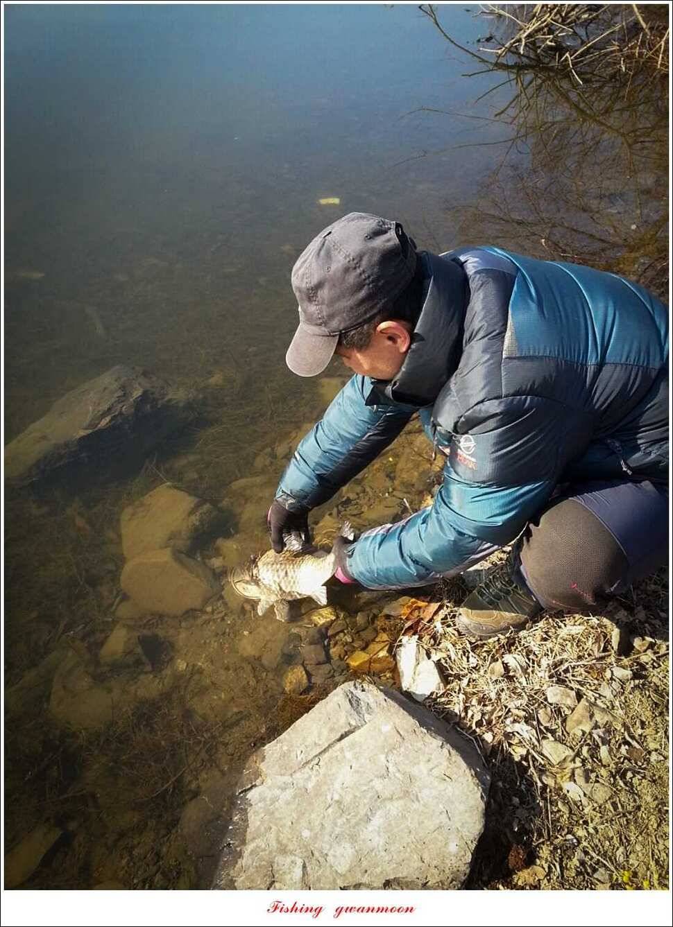 충주괴산권 조황 (조황조행기 - 특파원조황)