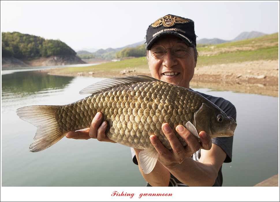 한버들 45 cm실리곡 마릿수 월척매전지화곡지괴강 월척 (조황조행기 - 특파원조황)