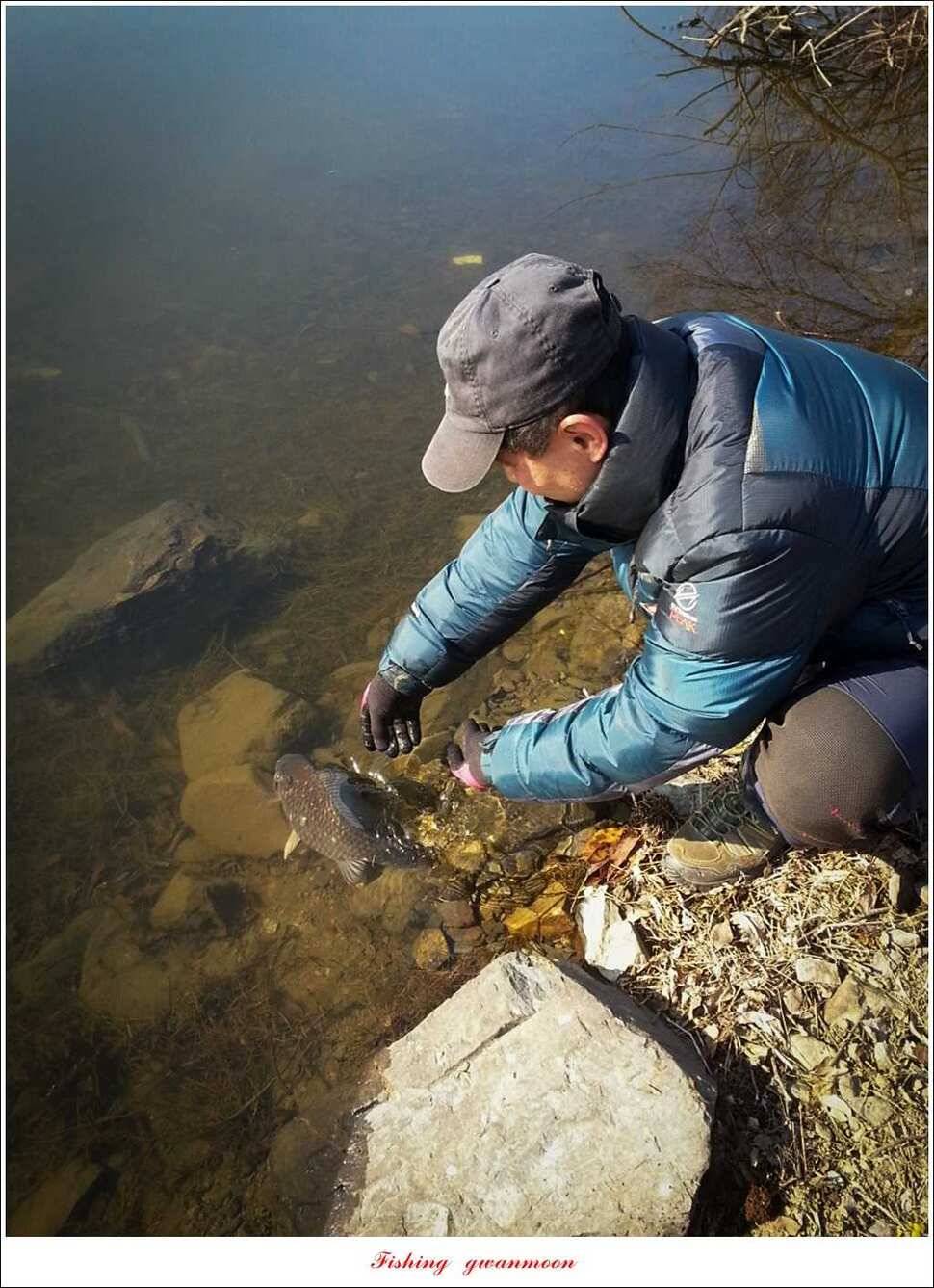 충주괴산권 조황 (조황조행기 - 특파원조황)