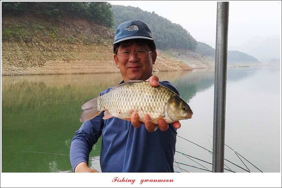 신매실리곡한버들 월척 조황 (조황조행기 - 특파원조황)