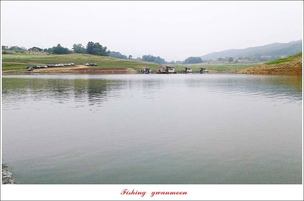 신매실리곡한버들 월척 조황 (조황조행기 - 특파원조황)