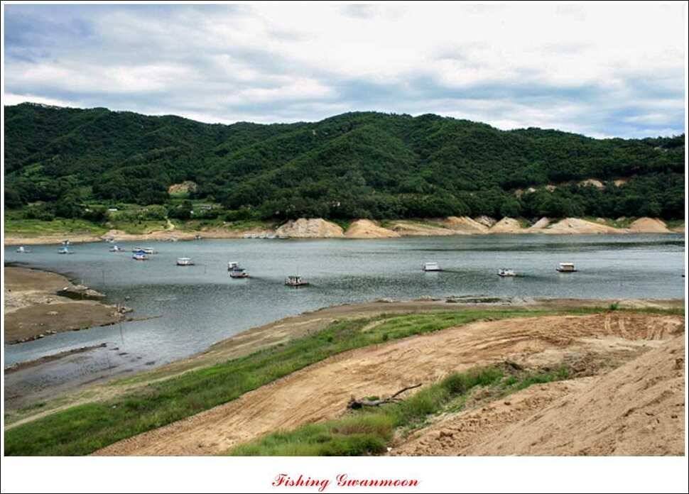솔 낚시터 충주호 노지 조황 (조황조행기 - 특파원조황)