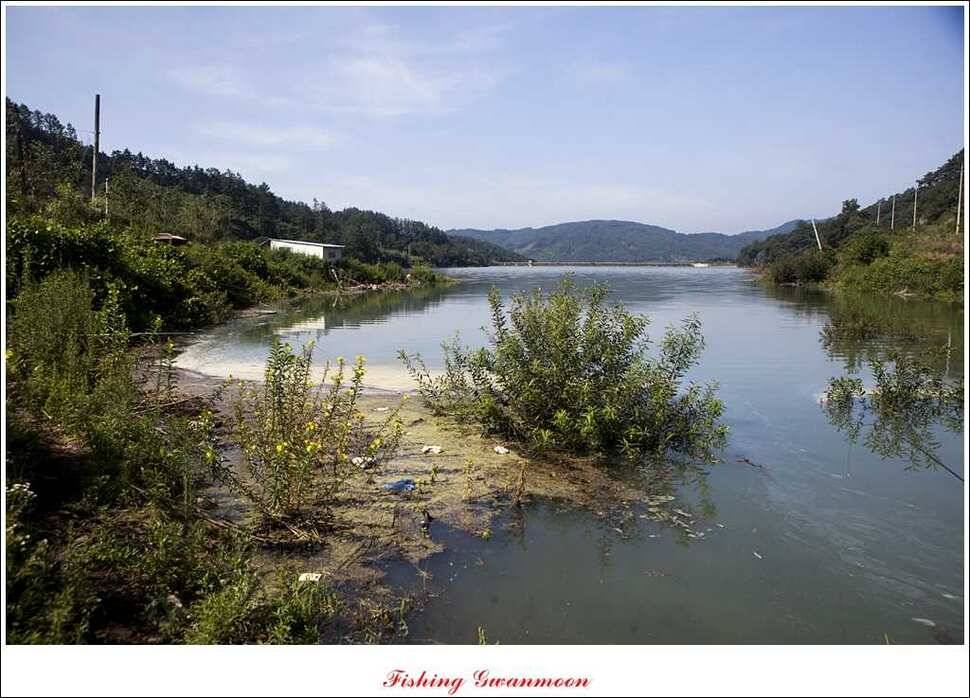 명서 사짜추평지 사짜 (조황조행기 - 특파원조황)