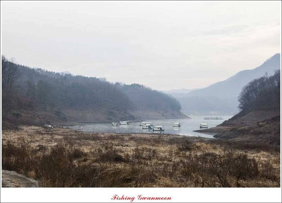 짱가네 415 cm제일 37 cm신매병호돌감한버들 월척 조황 (조황조행기 - 특파원조황)