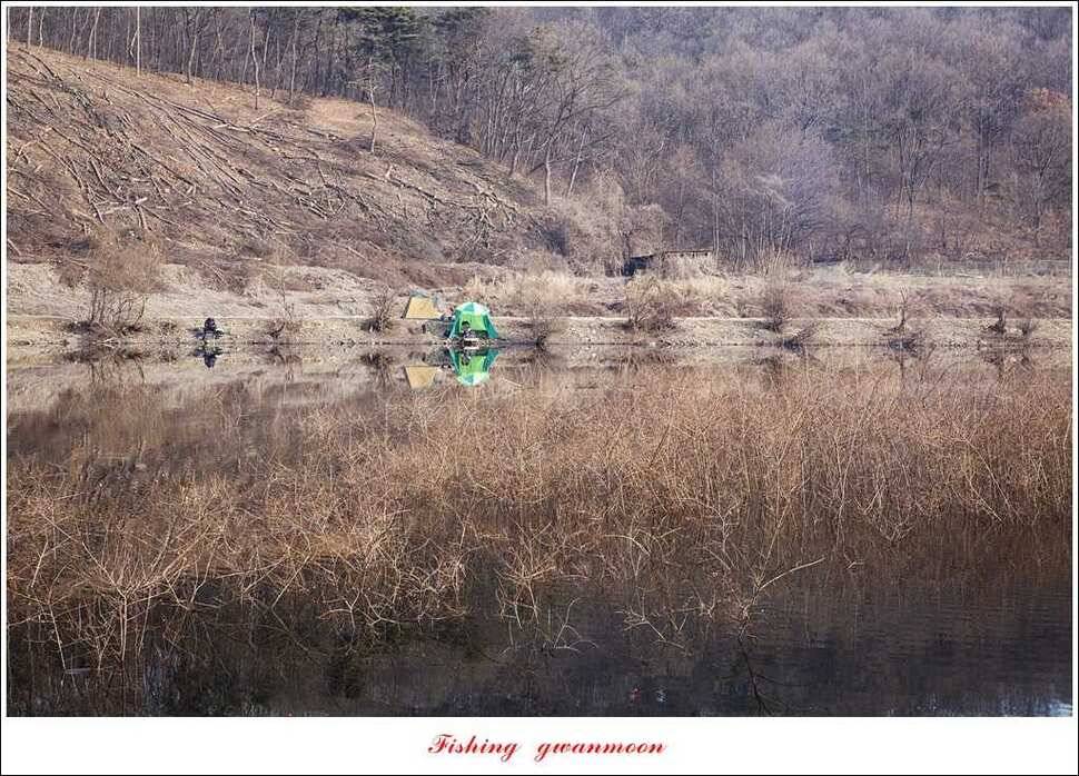충주괴산권 조황 (조황조행기 - 특파원조황)