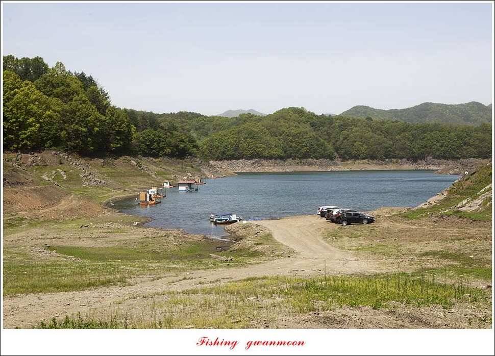 늘푸른돌감화곡지 월척 조황 (조황조행기 - 특파원조황)