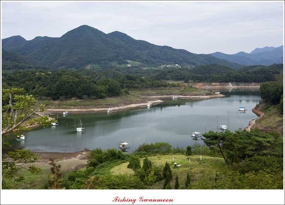 문골돌감실리곡화곡지 조황 (조황조행기 - 특파원조황)