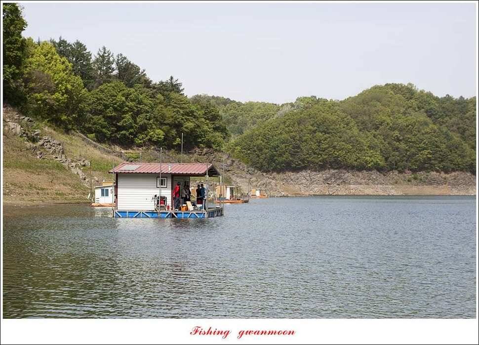 늘푸른돌감화곡지 월척 조황 (조황조행기 - 특파원조황)