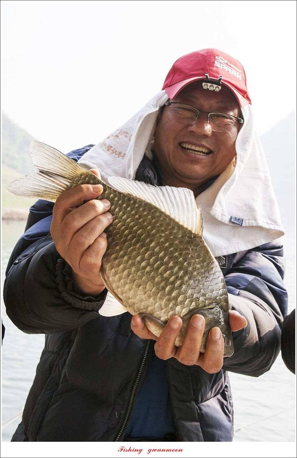 한버들 45 cm실리곡 마릿수 월척매전지화곡지괴강 월척 (조황조행기 - 특파원조황)