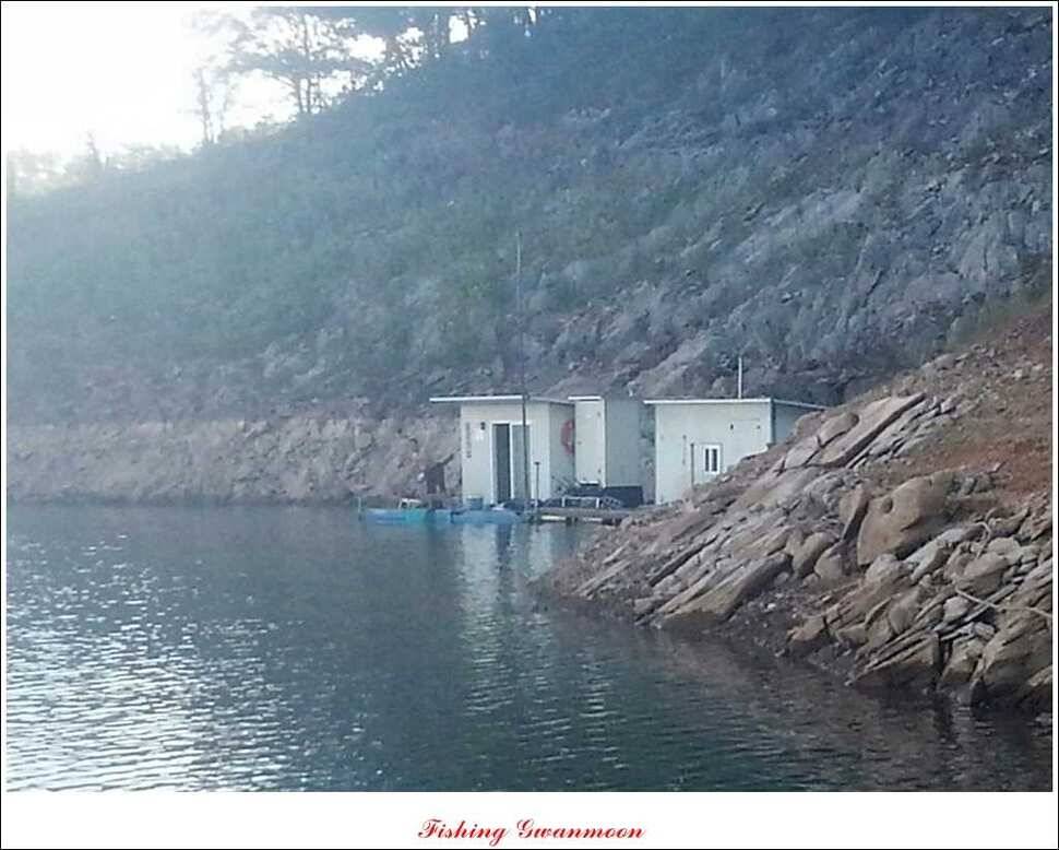문골돌감실리곡화곡지 조황 (조황조행기 - 특파원조황)