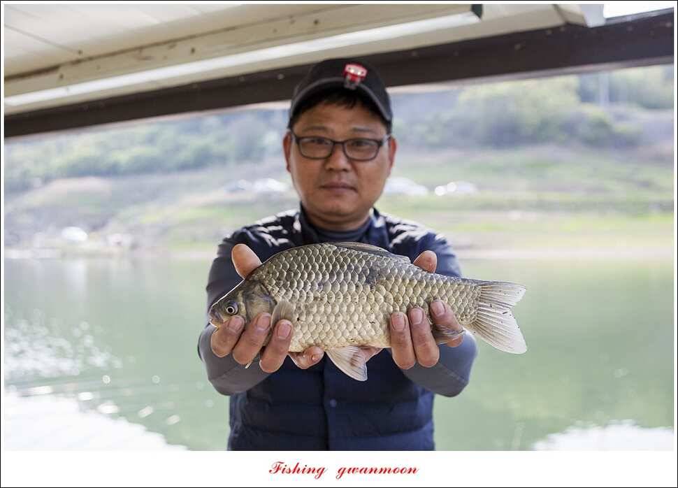 한버들 낚시대회실리곡 월척 (조황조행기 - 특파원조황)