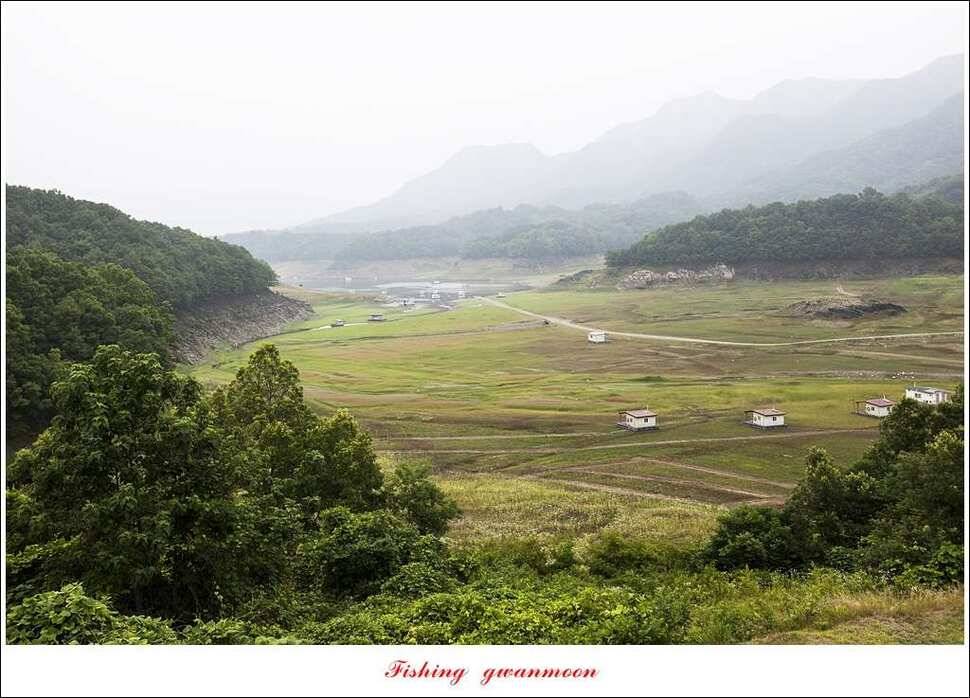 신매실리곡한버들 월척 조황 (조황조행기 - 특파원조황)