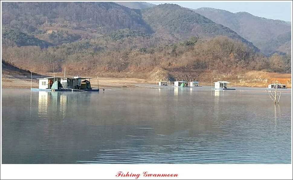신매제일짱가네 조황 (조황조행기 - 특파원조황)