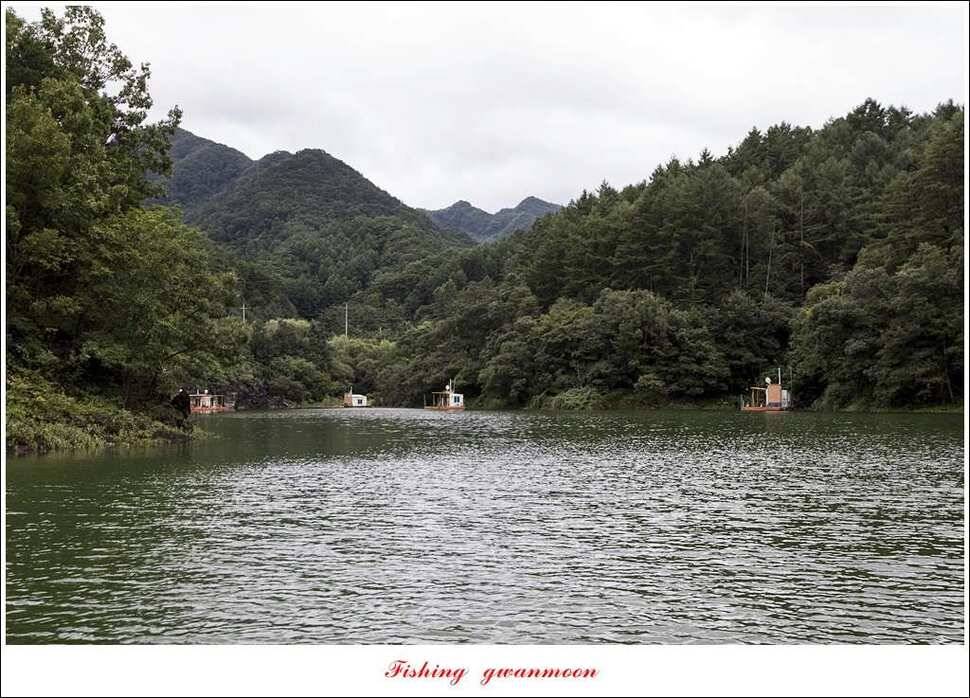늘푸른 사짜화곡지실리곡소류지 사짜 조황 (조황조행기 - 특파원조황)
