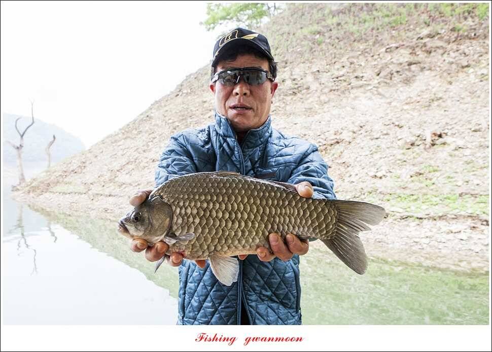 한버들 42 cm40 cm사짜 대물 (조황조행기 - 특파원조황)
