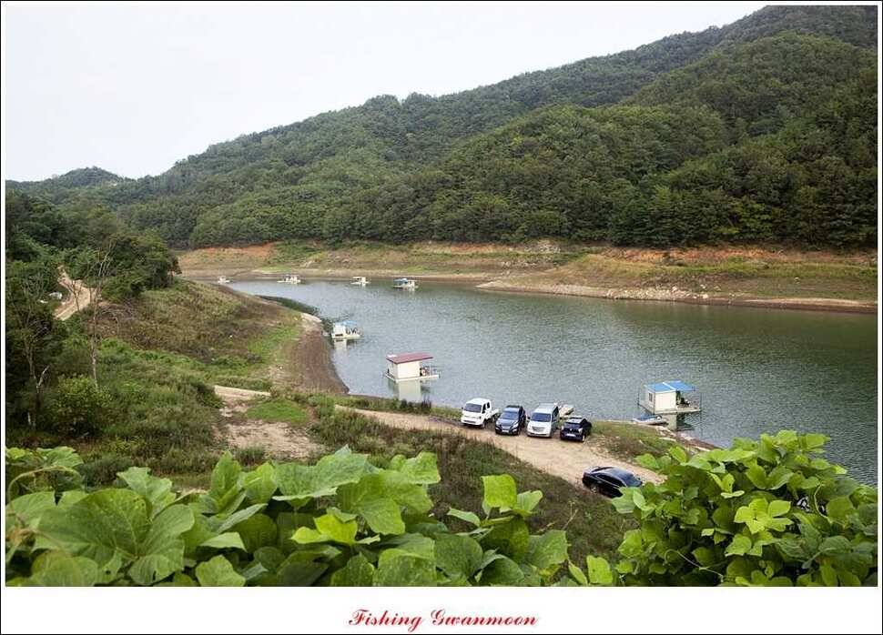 실리곡한버들달천강 조황 (조황조행기 - 특파원조황)