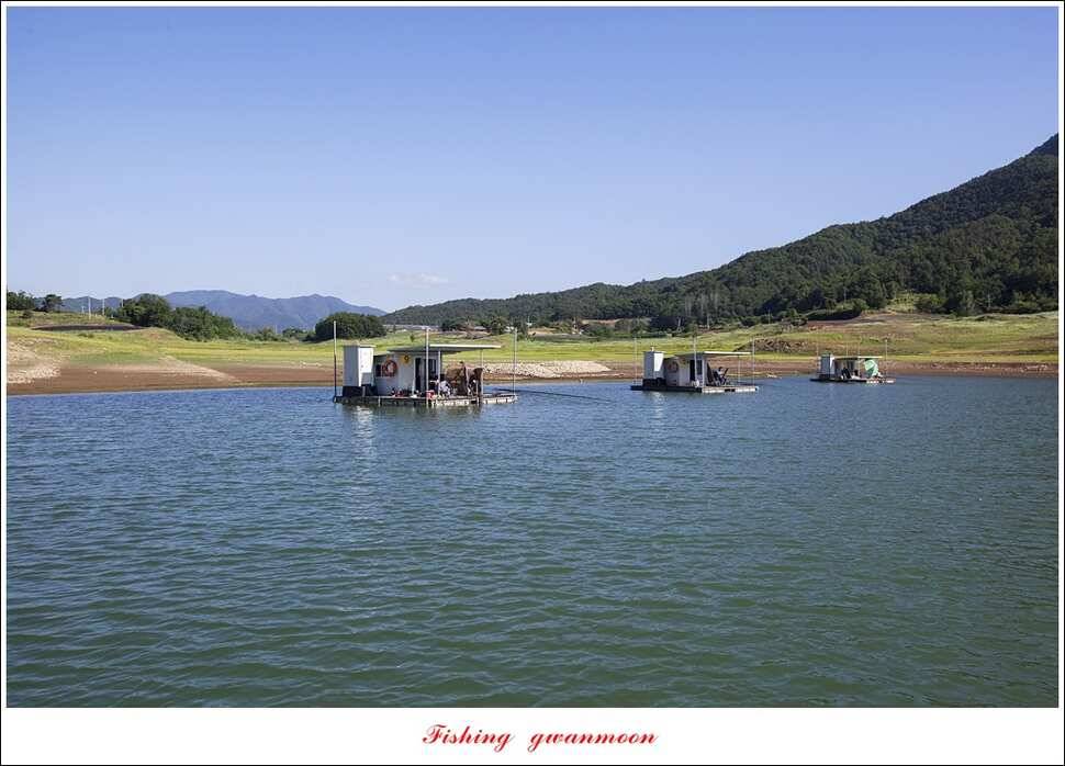 한버들 42 cm돌감 월척 조황 (조황조행기 - 특파원조황)