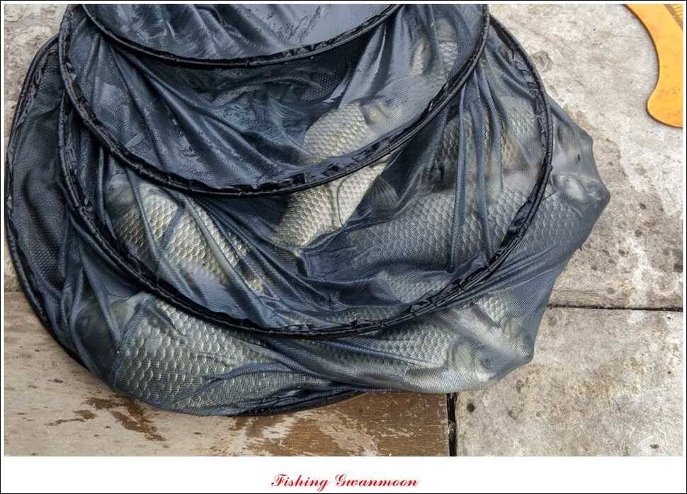 실리곡한버들달천강 조황 (조황조행기 - 특파원조황)