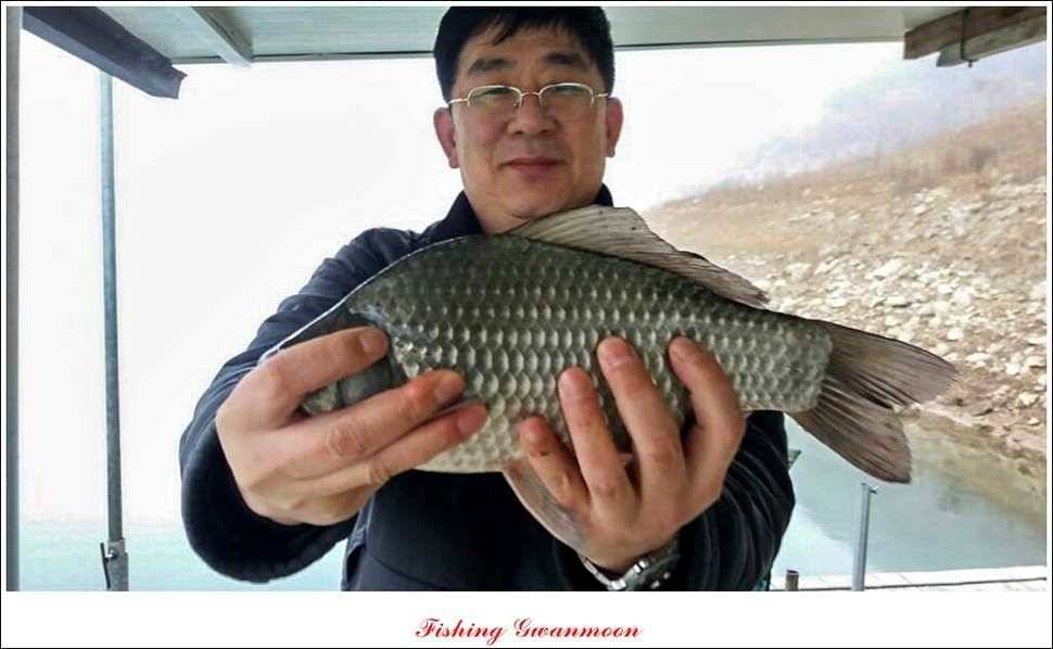 신매 385 cm실리곡 월척 (조황조행기 - 특파원조황)